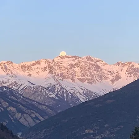 Monica's Viola * Oulx