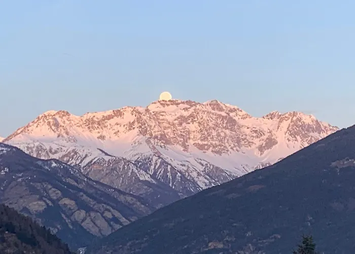 Monica's Viola * Oulx